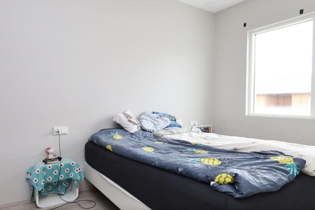 Nice & Cozy Two Bedroom Apartment With A Balcony Akureyri Eksteriør bilde